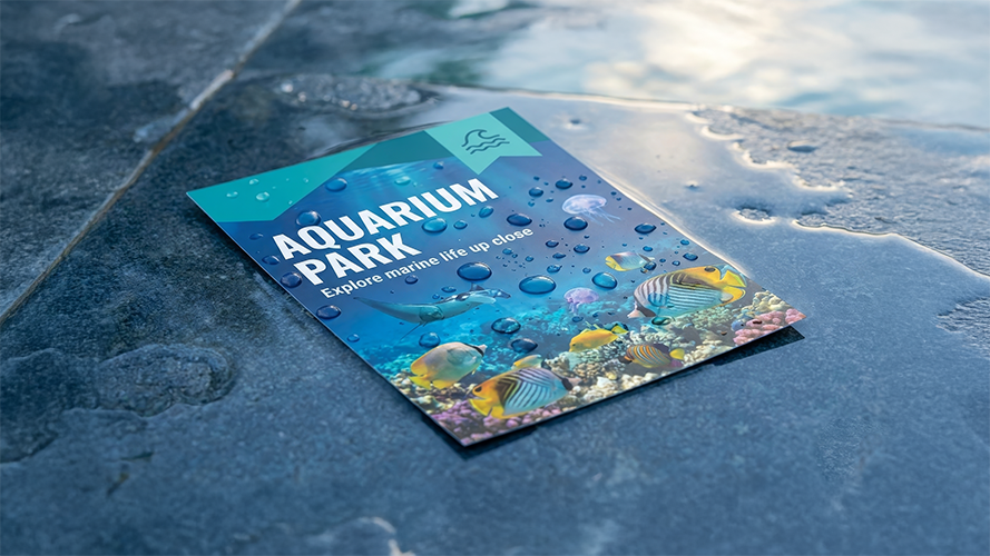 Synaps XM Waterproof Flyers 1 Image